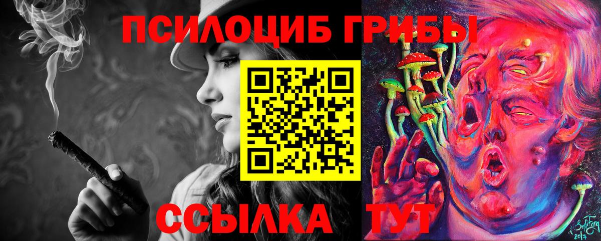 Галлюциногенные грибы GOLDEN TEACHER Новотроицк