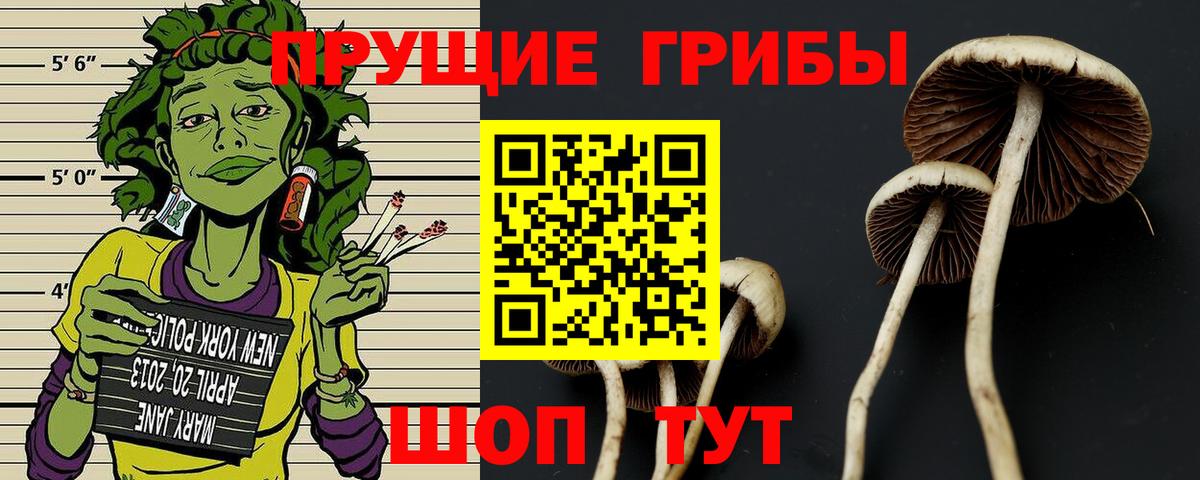 Продажа наркотиков  Новотроицк  Вход с VPN  Конопля  Меф кристаллы  ГАШ 