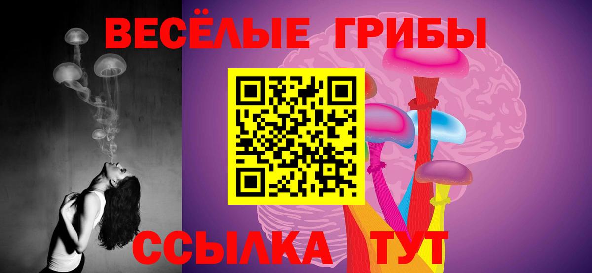 Галлюциногенные грибы GOLDEN TEACHER  Вход с VPN  где найти   Новотроицк 